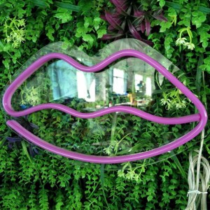 Custom Led Lips Neon Sign