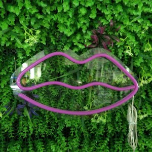 Custom Led Lips Neon Sign